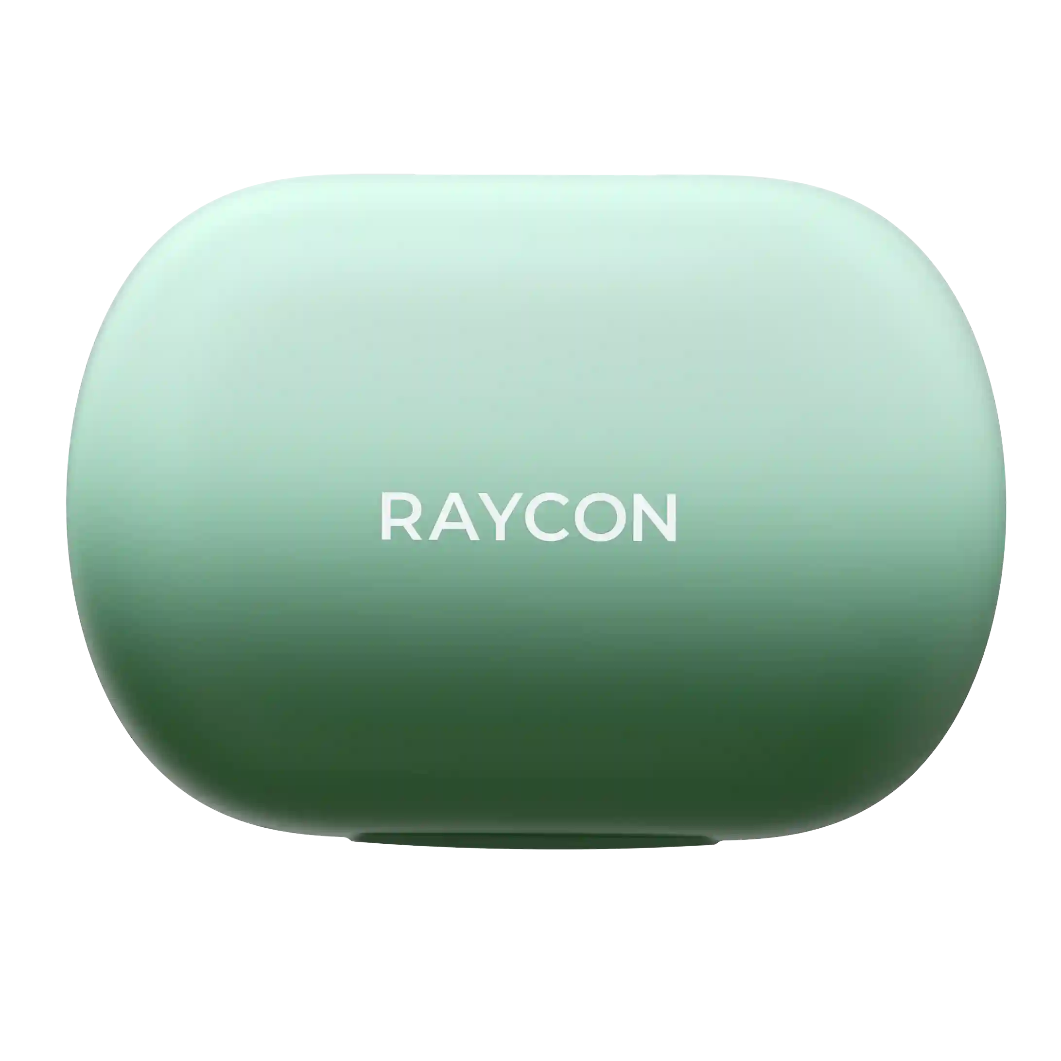 rayconaudious.it.com