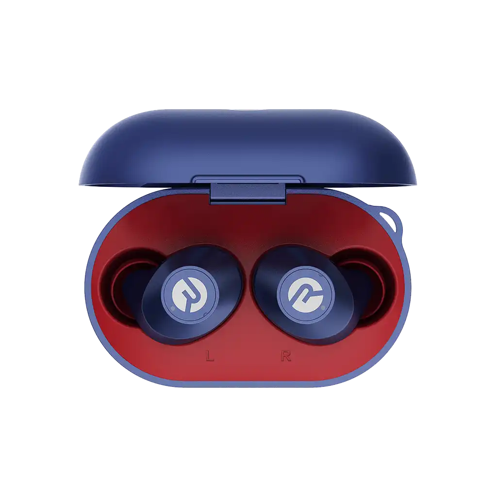 rayconaudious.it.com