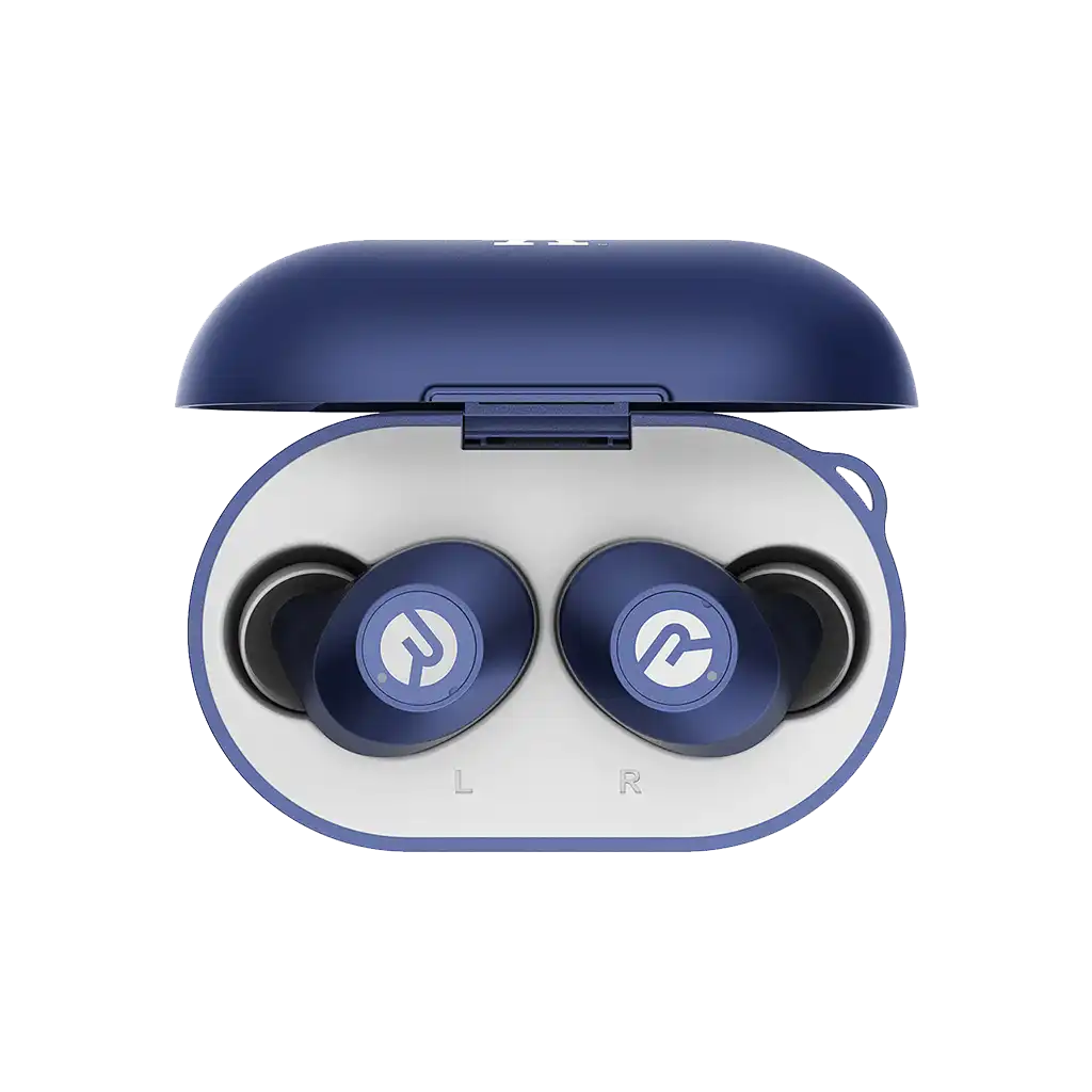 rayconaudious.it.com