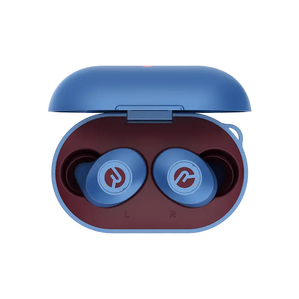 rayconaudious.it.com