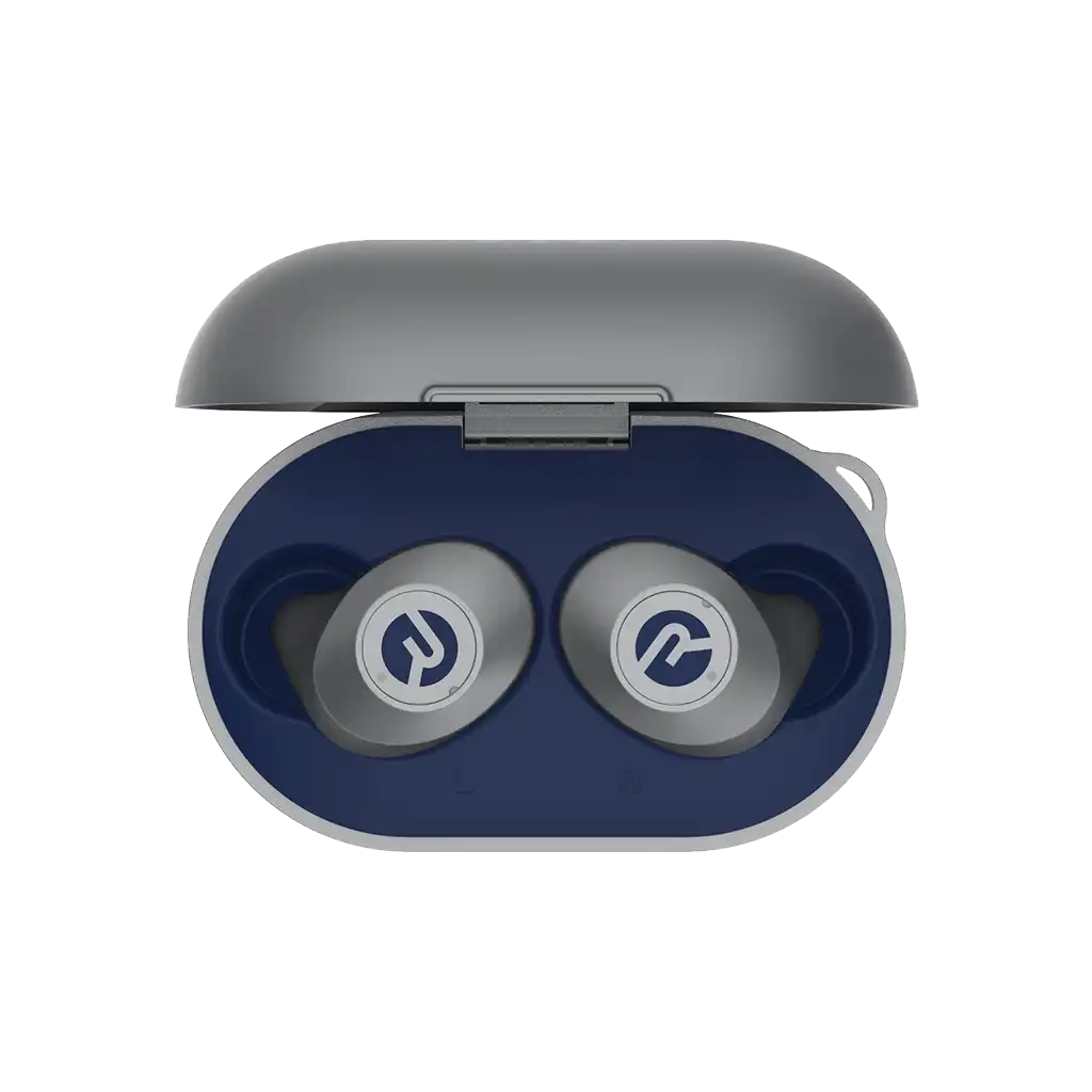 rayconaudious.it.com
