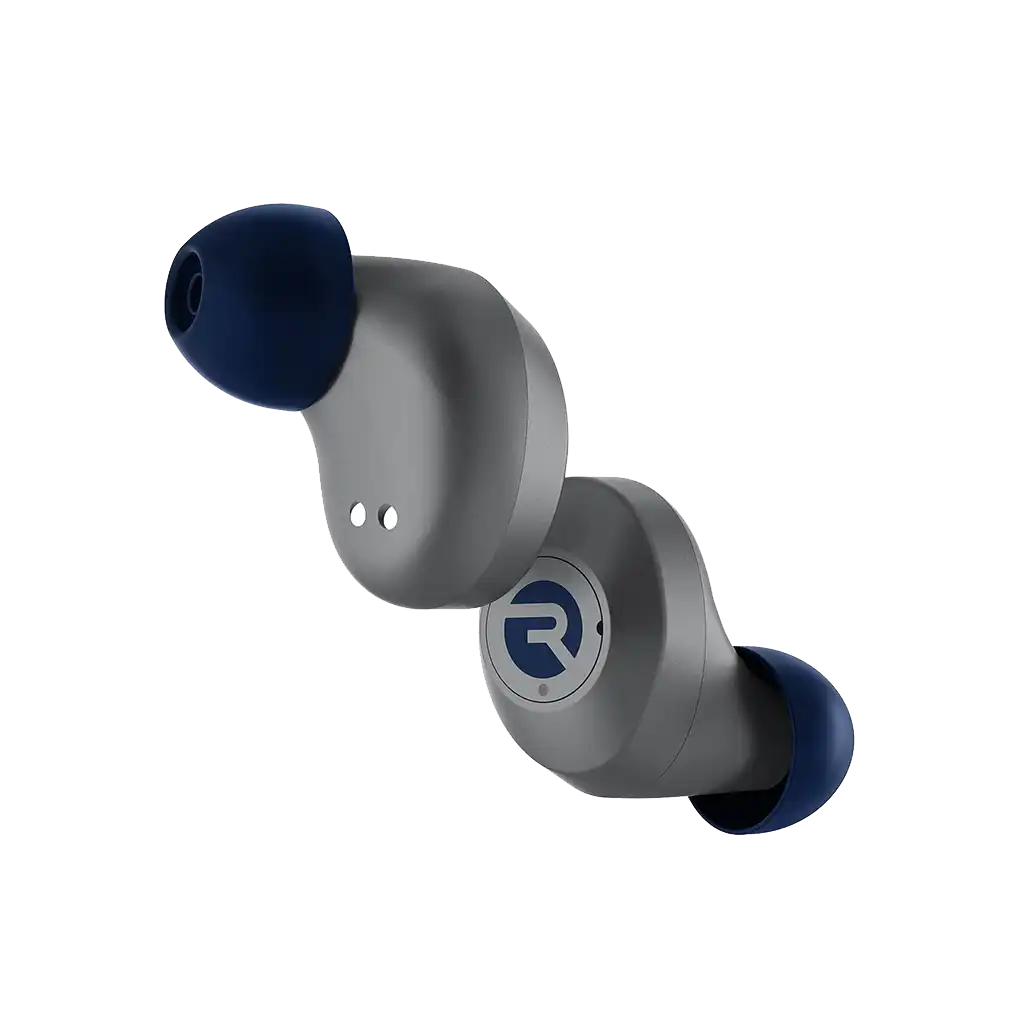 rayconaudious.it.com