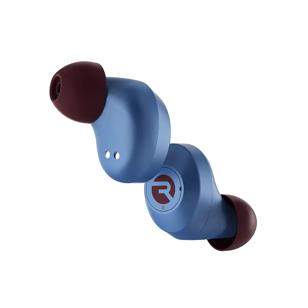 rayconaudious.it.com