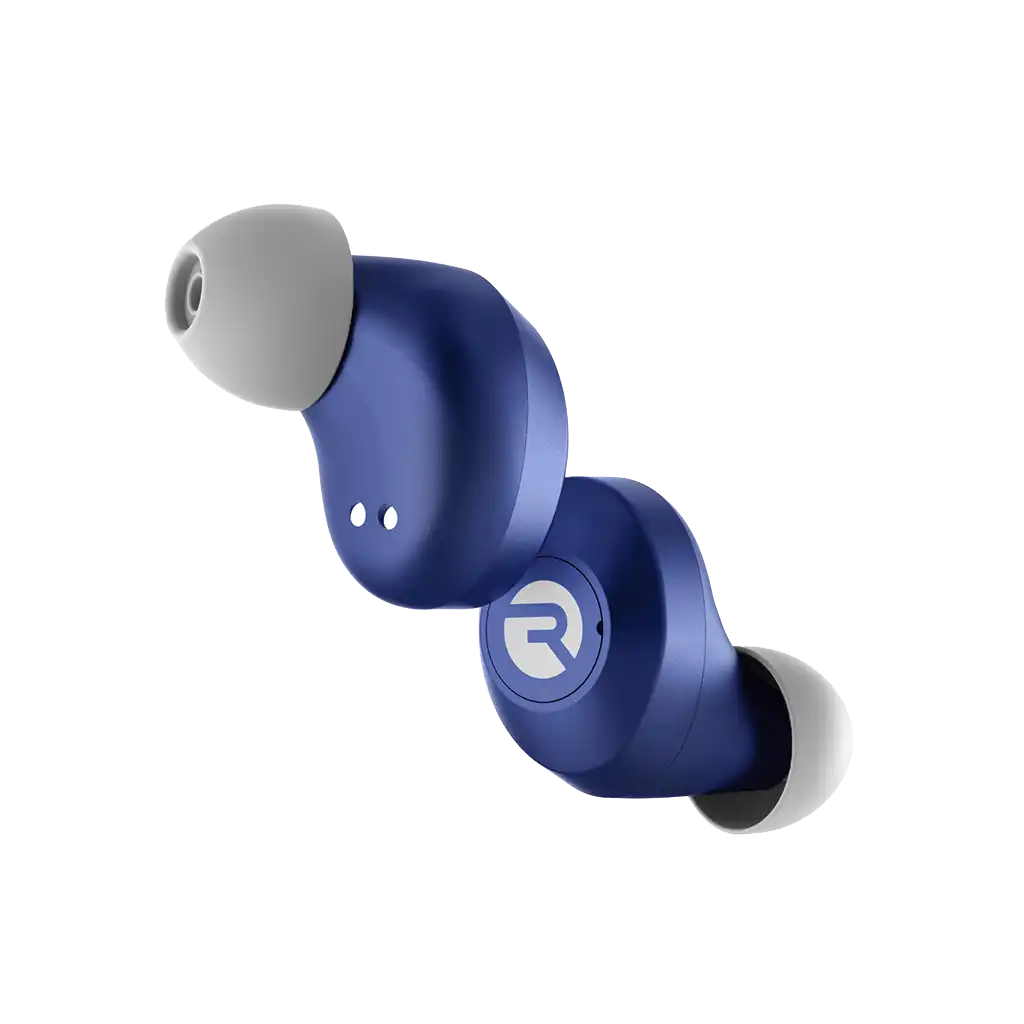 rayconaudious.it.com