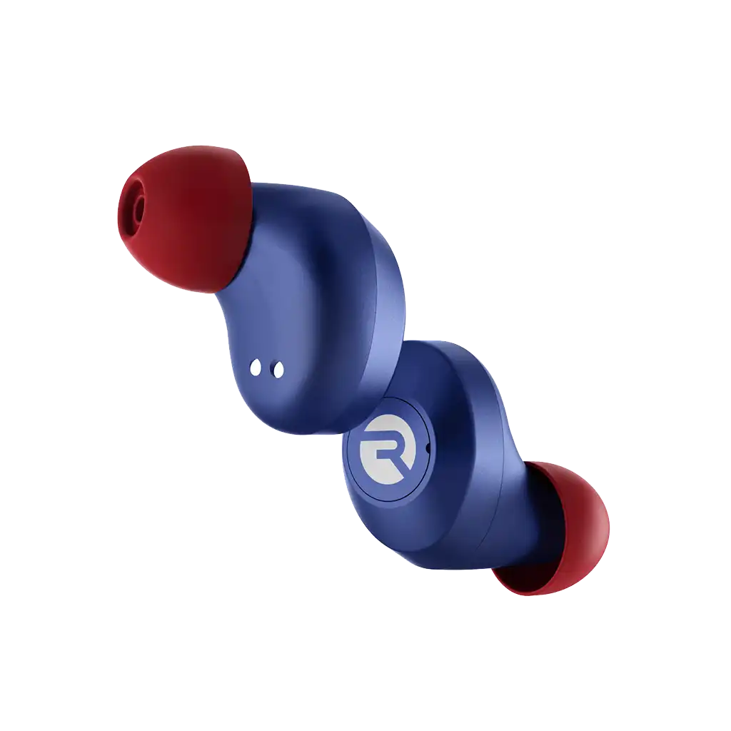 rayconaudious.it.com