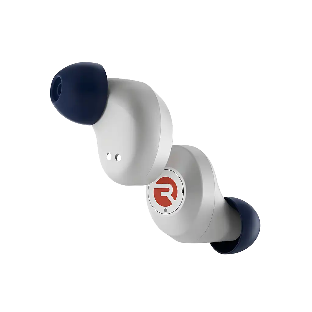 rayconaudious.it.com