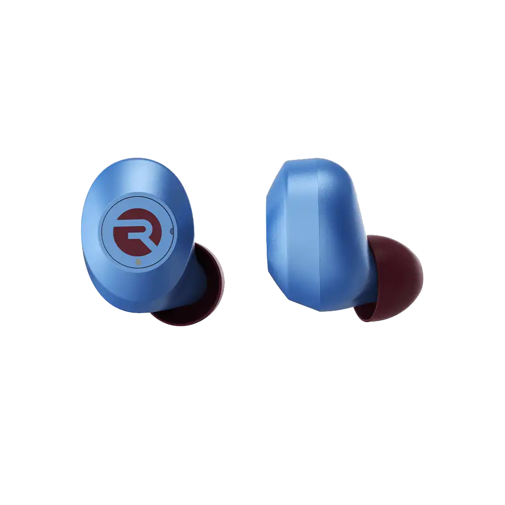rayconaudious.it.com