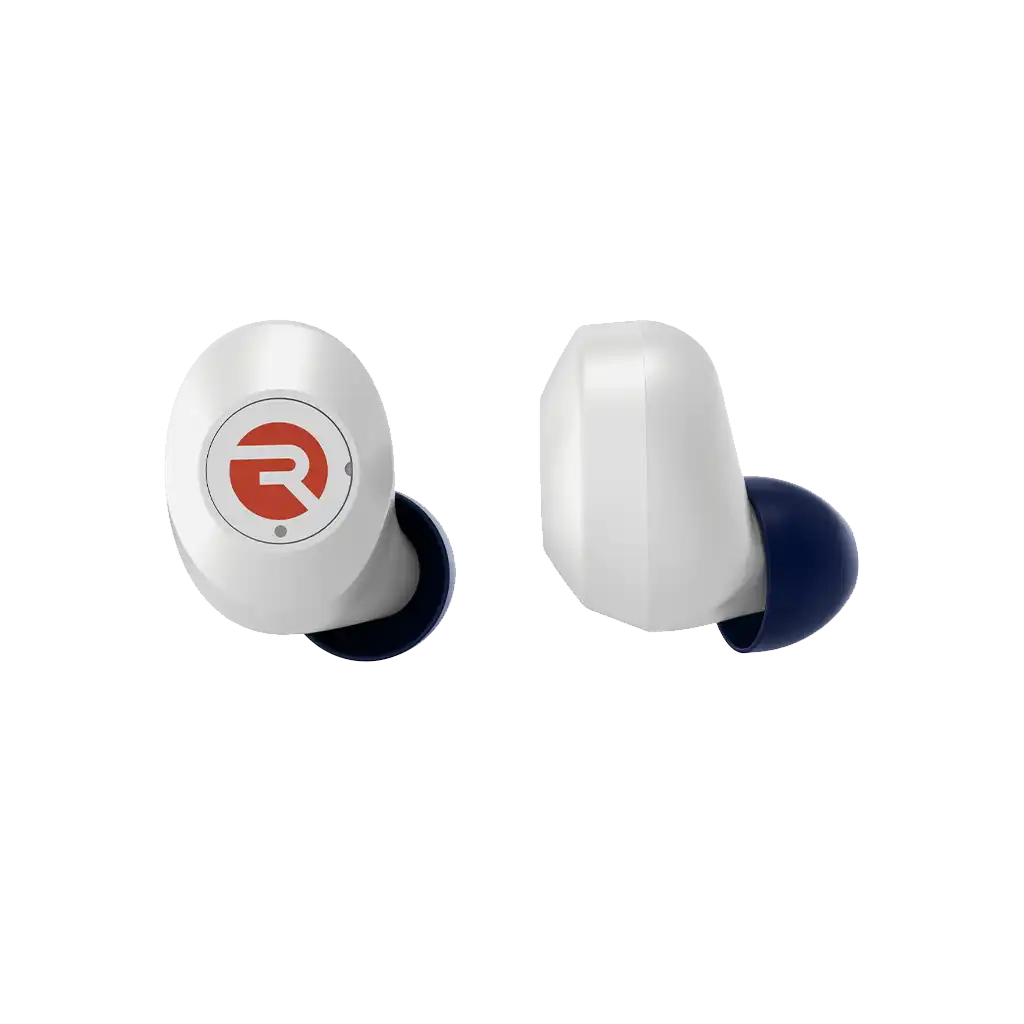 rayconaudious.it.com