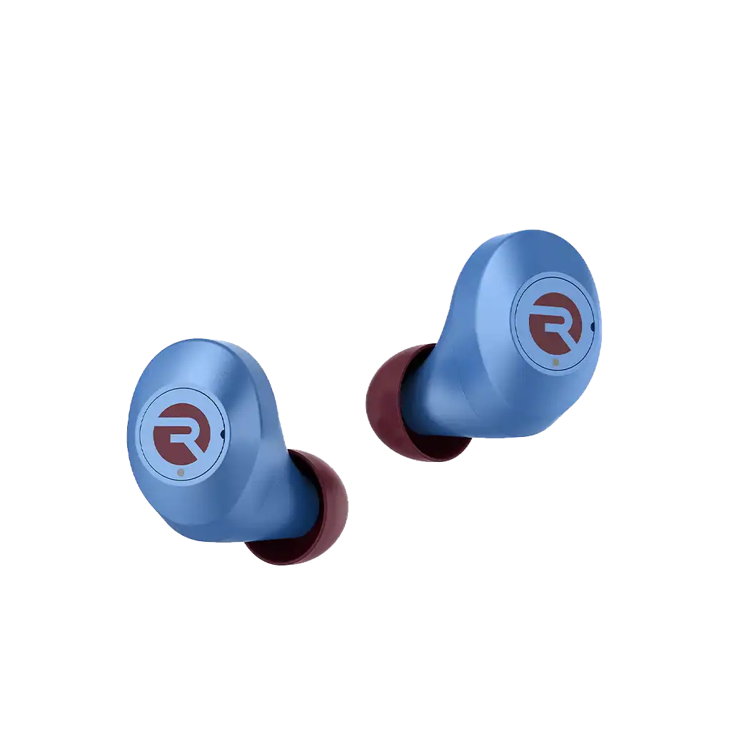 rayconaudious.it.com