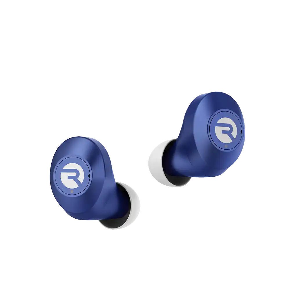 rayconaudious.it.com