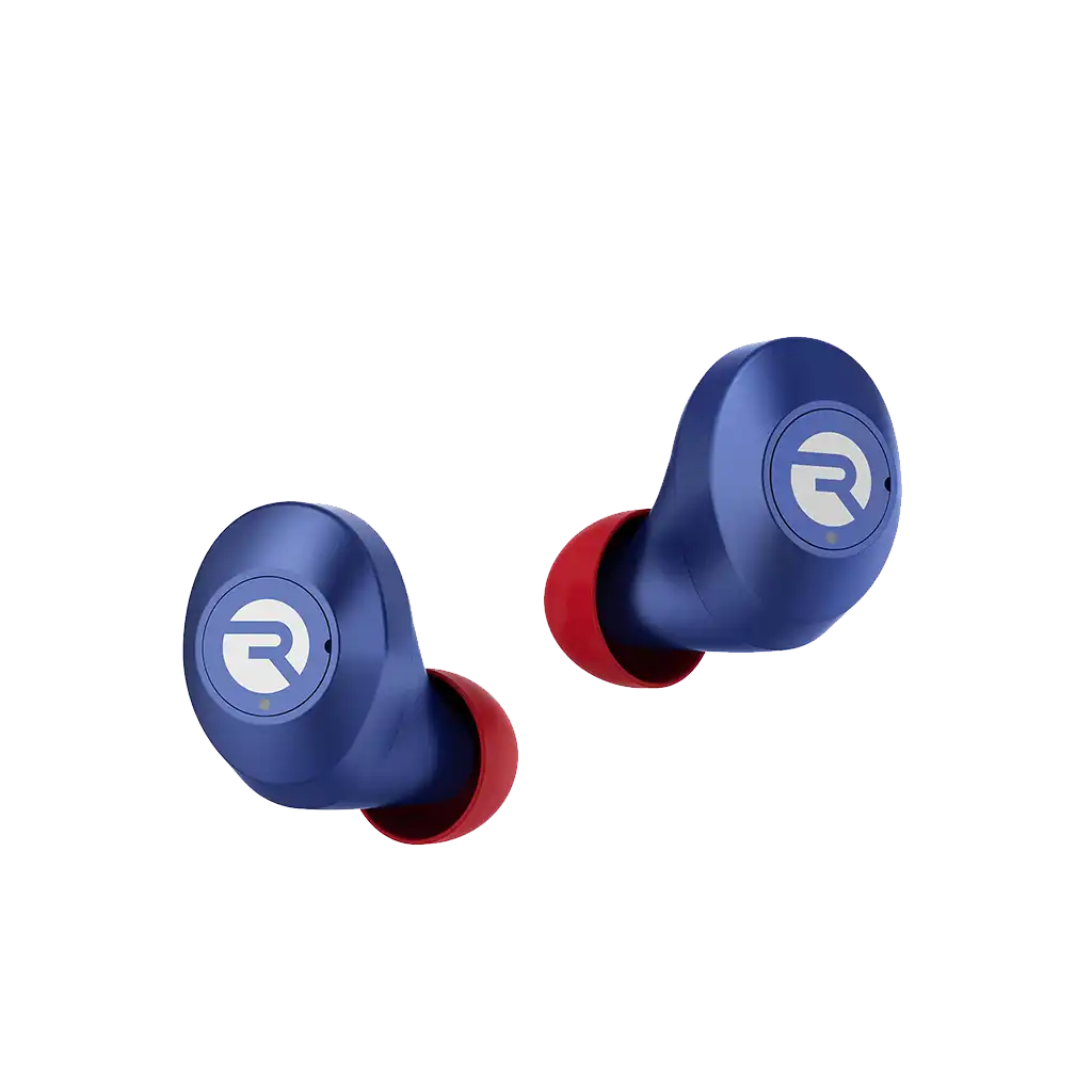 rayconaudious.it.com