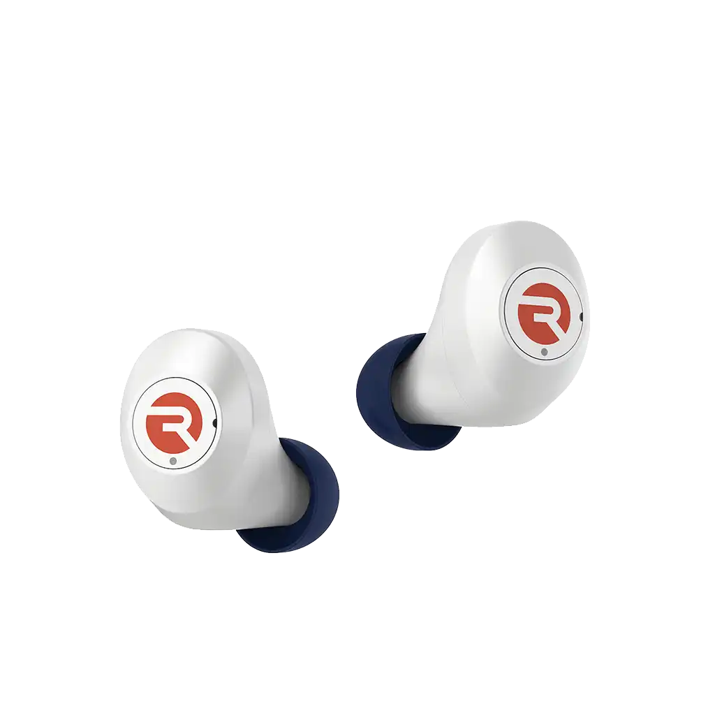 rayconaudious.it.com