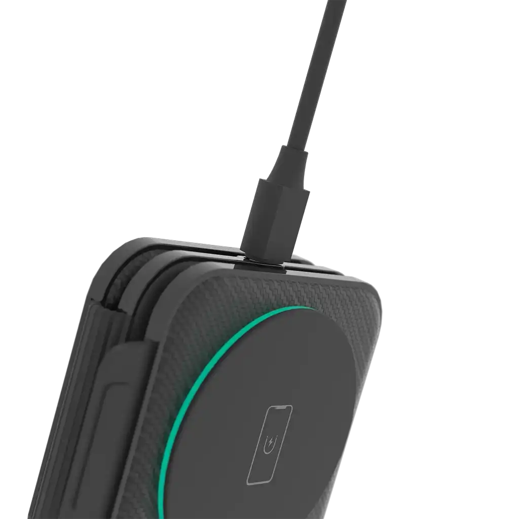 rayconaudious.it.com