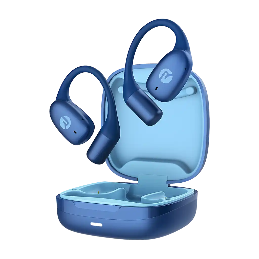 rayconaudious.it.com