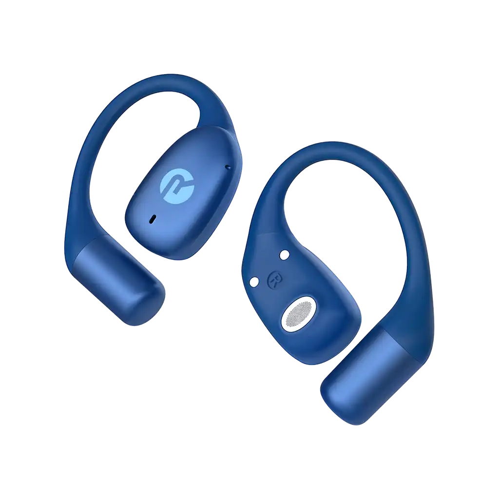 rayconaudious.it.com