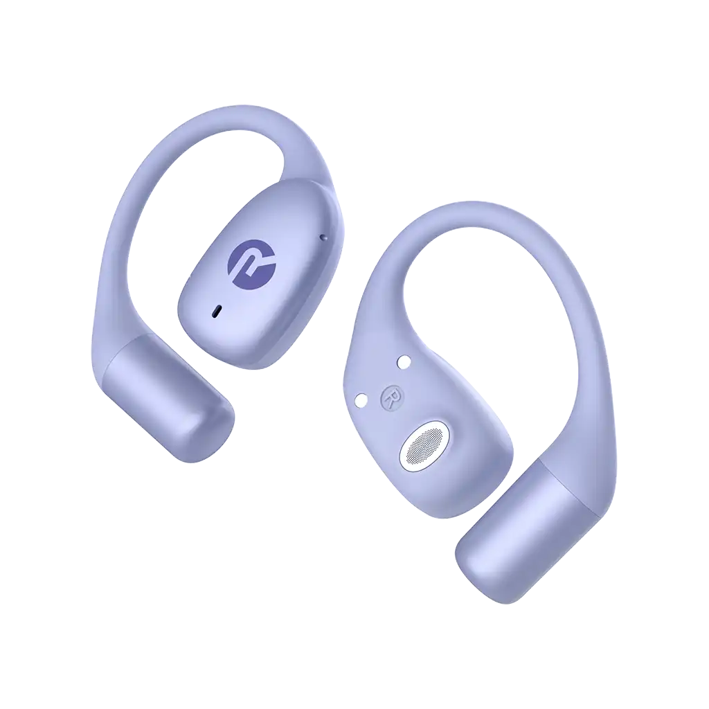 rayconaudious.it.com