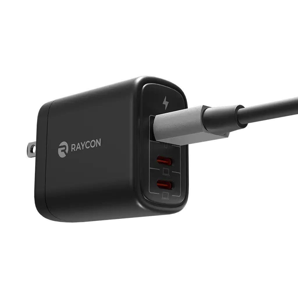 rayconaudious.it.com