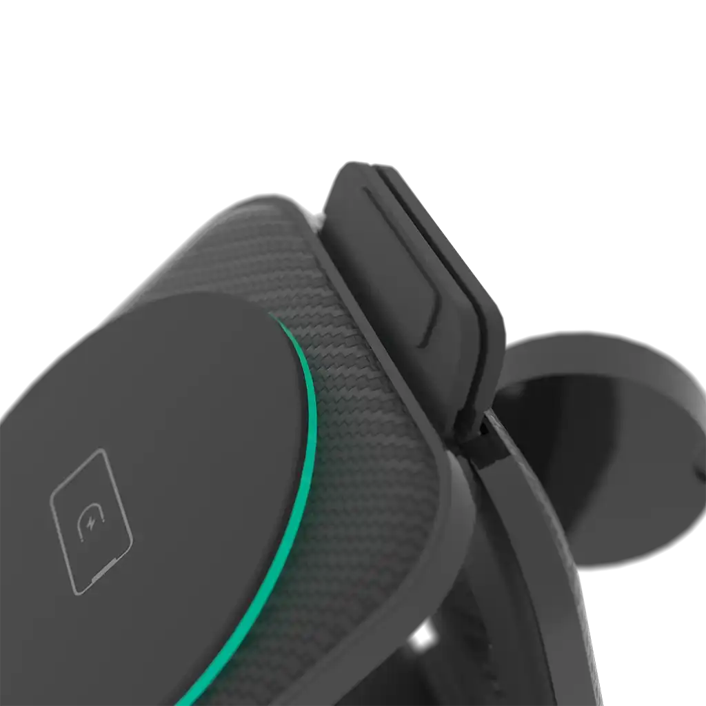 rayconaudious.it.com