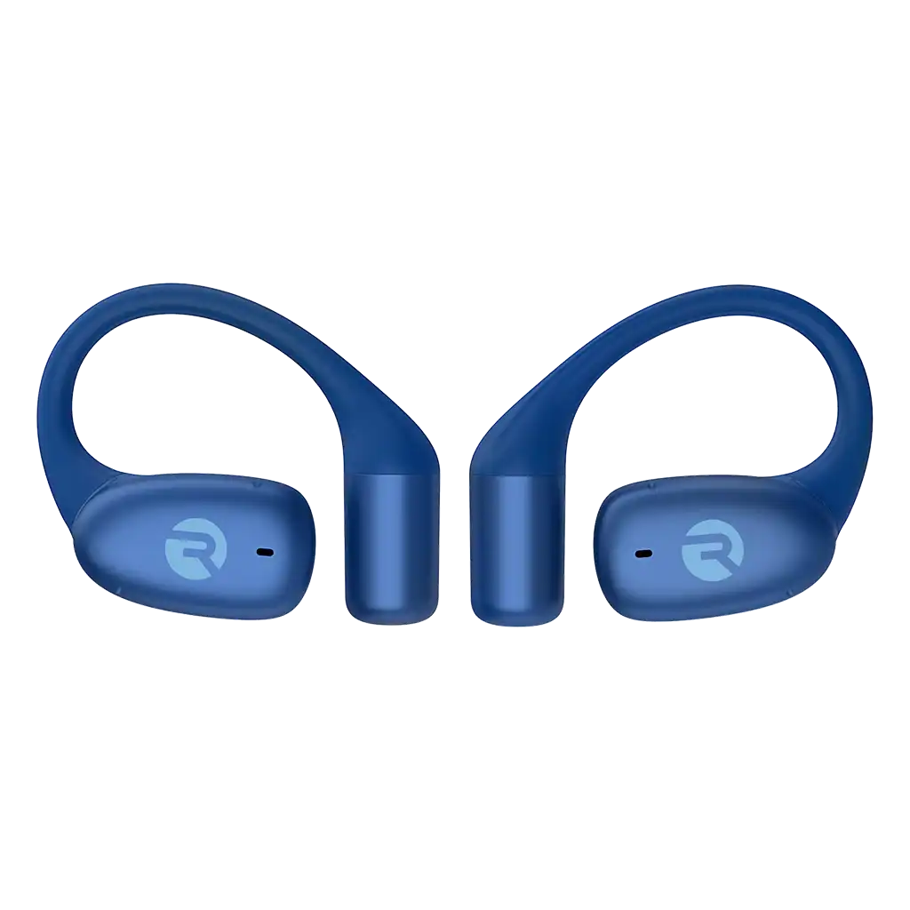 rayconaudious.it.com