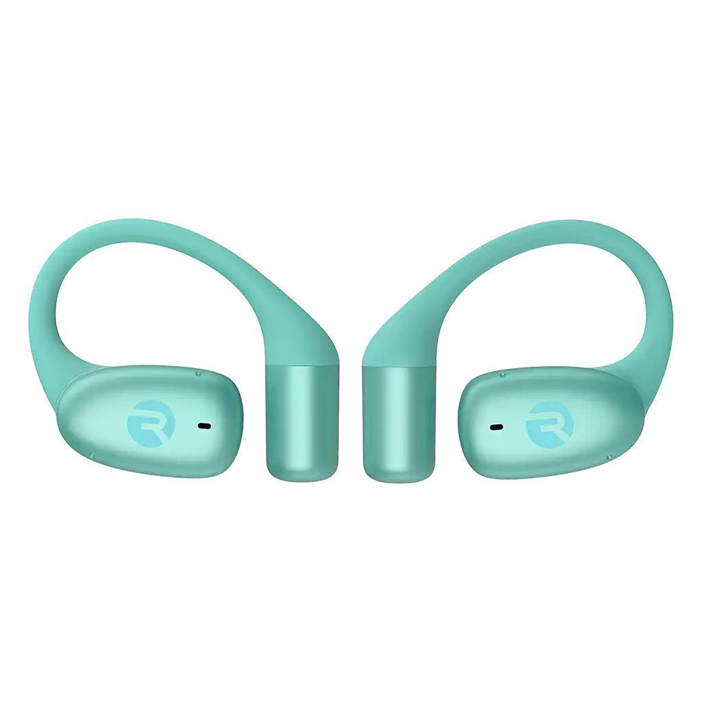 rayconaudious.it.com