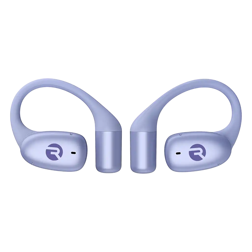 rayconaudious.it.com