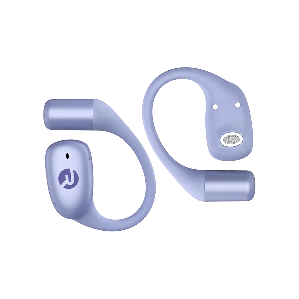 rayconaudious.it.com