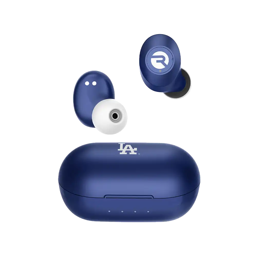 rayconaudious.it.com