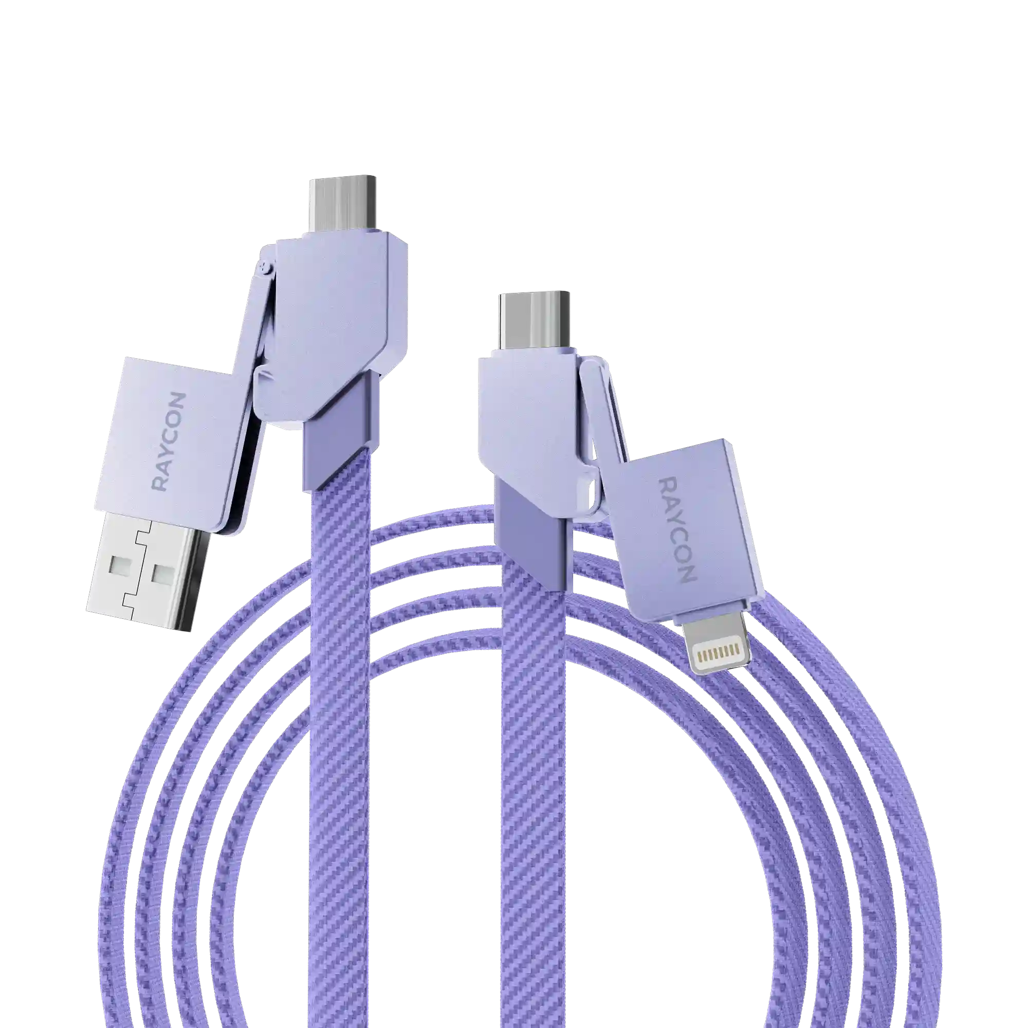 rayconaudious.it.com