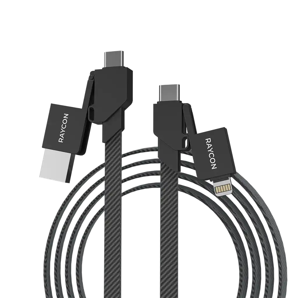 rayconaudious.it.com
