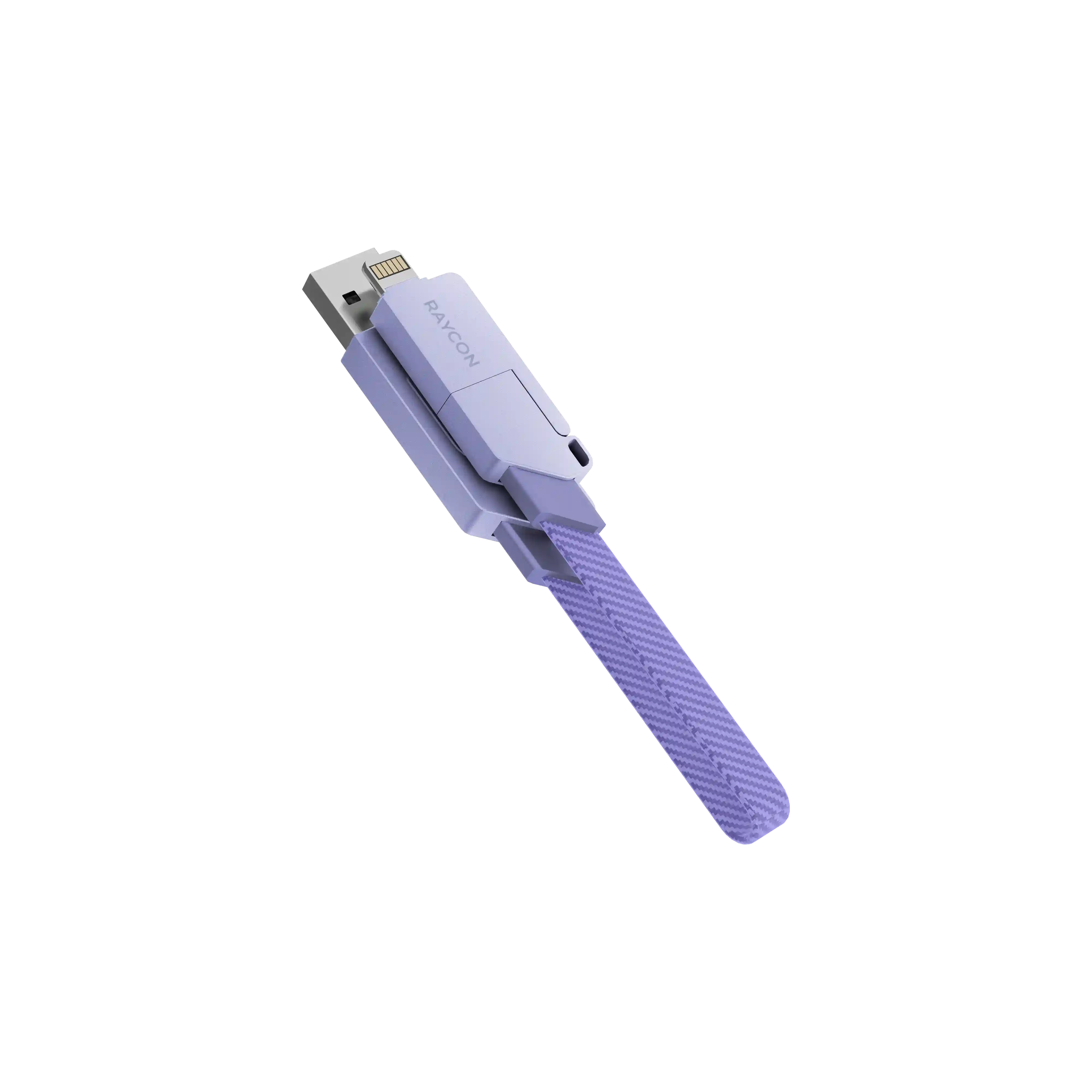 rayconaudious.it.com