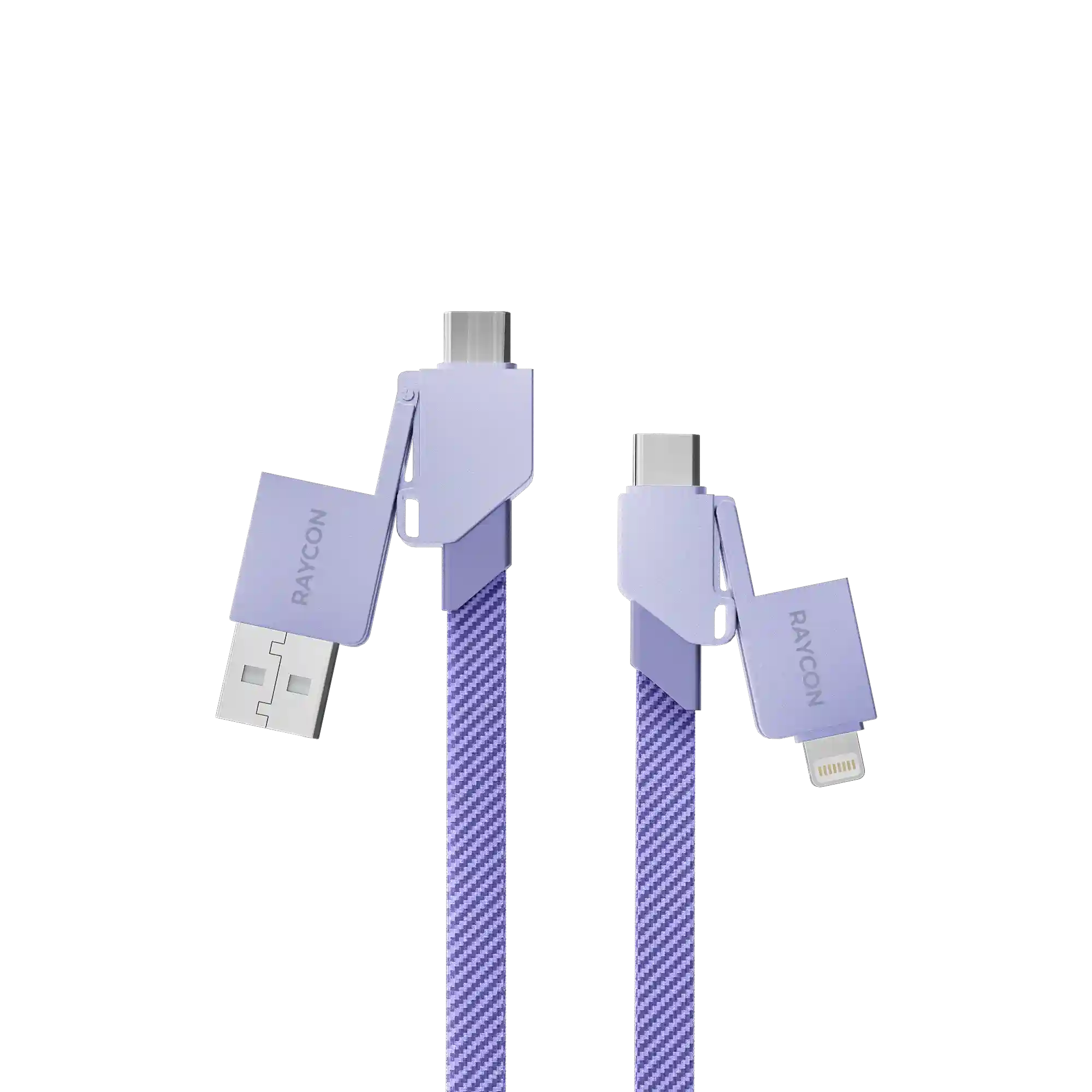 rayconaudious.it.com