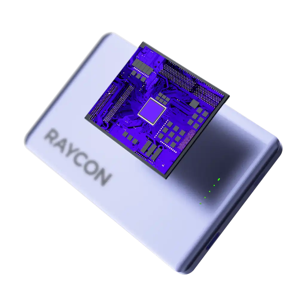 rayconaudious.it.com