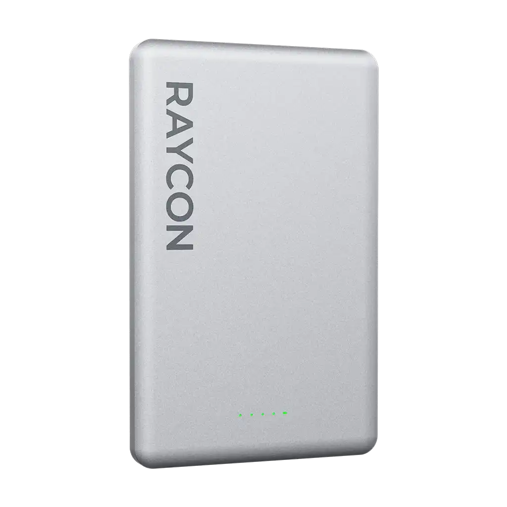 rayconaudious.it.com