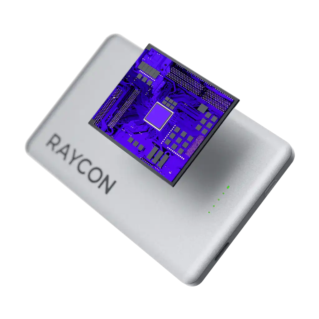 rayconaudious.it.com