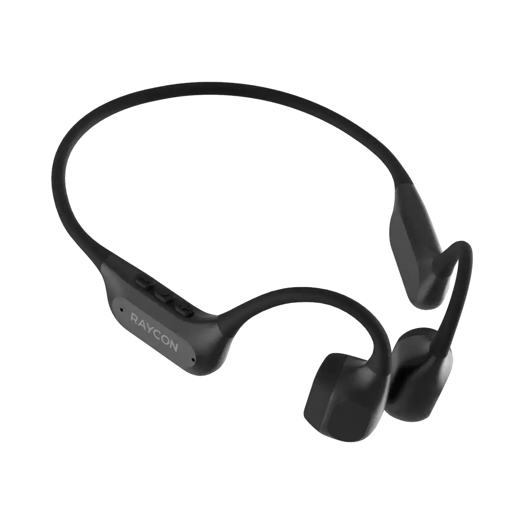 rayconaudious.it.com