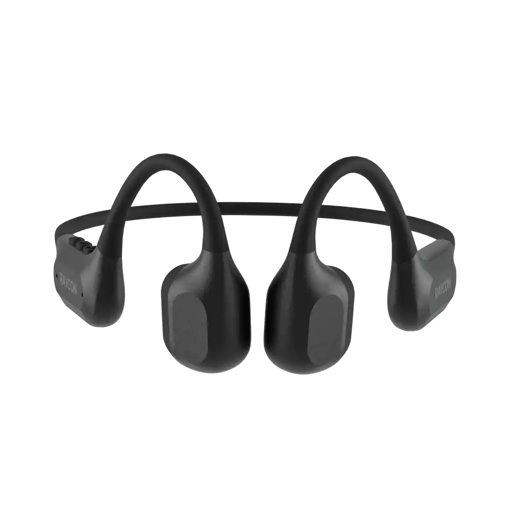 rayconaudious.it.com