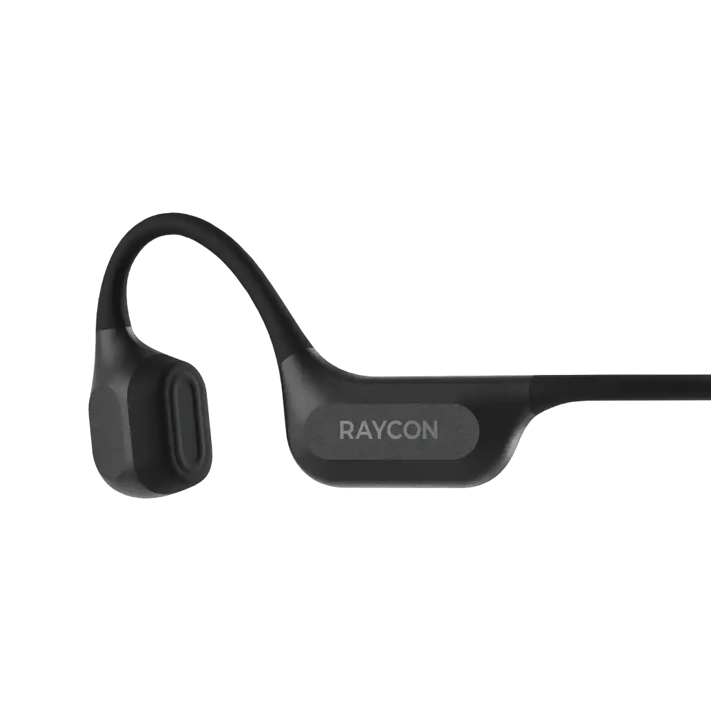 rayconaudious.it.com