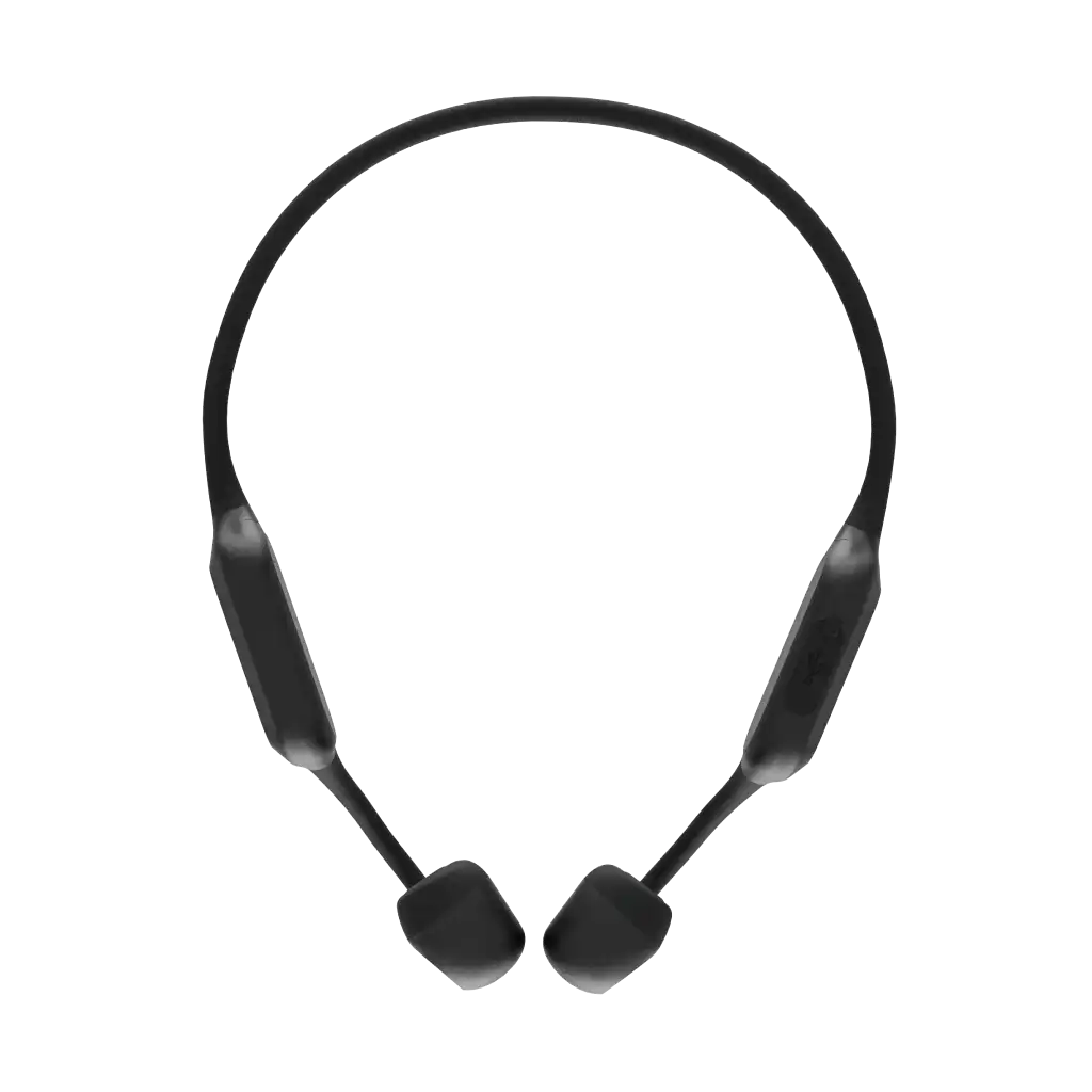 rayconaudious.it.com