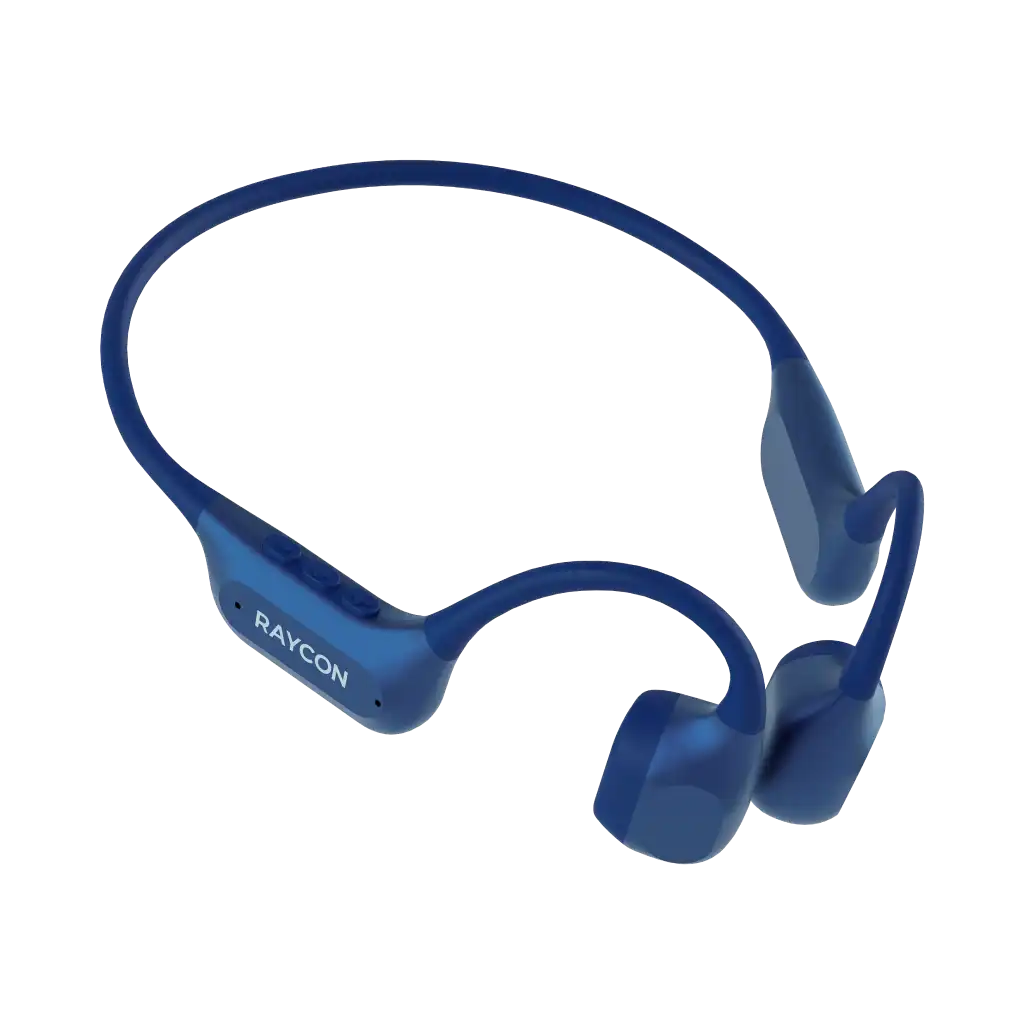 rayconaudious.it.com