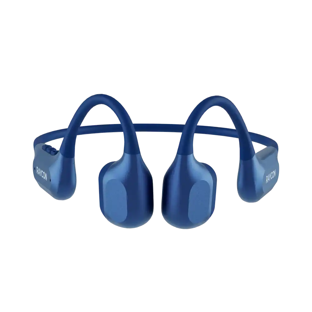 rayconaudious.it.com