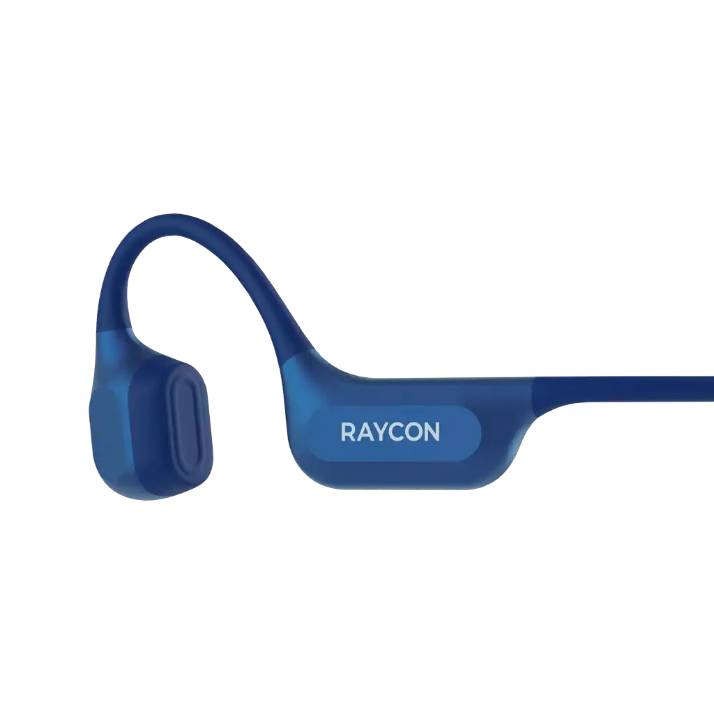 rayconaudious.it.com