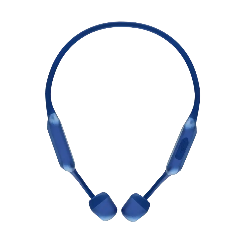 rayconaudious.it.com