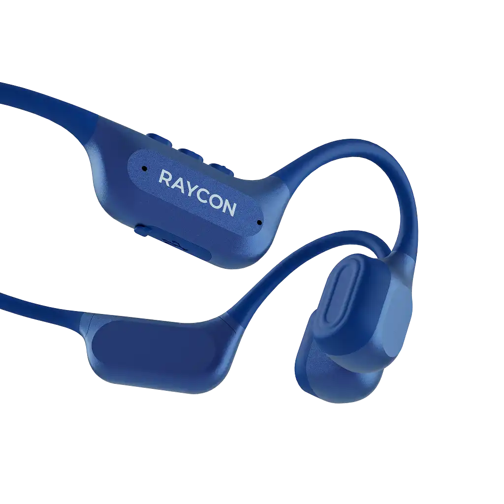 rayconaudious.it.com