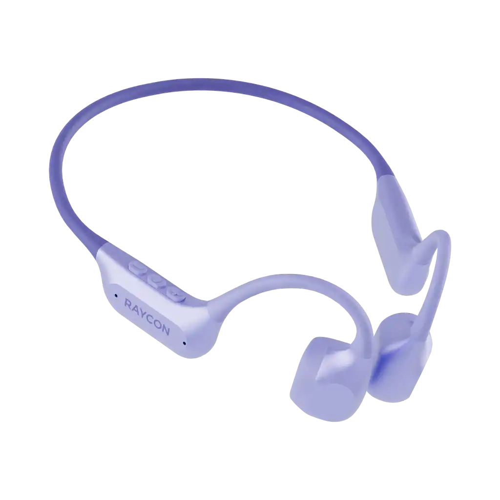 rayconaudious.it.com