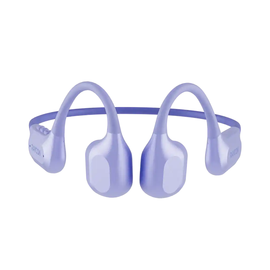 rayconaudious.it.com