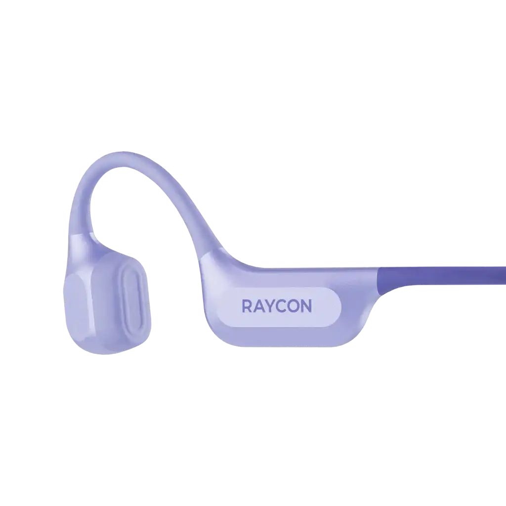 rayconaudious.it.com