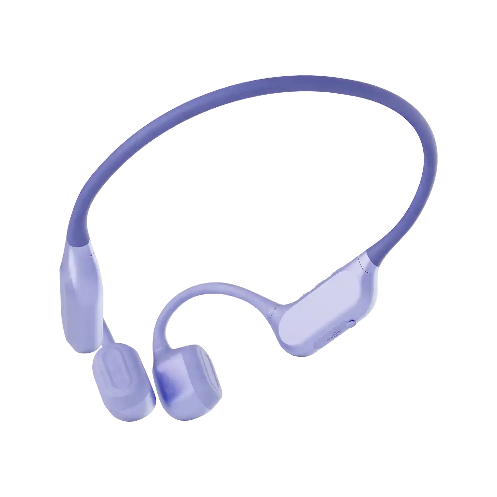 rayconaudious.it.com
