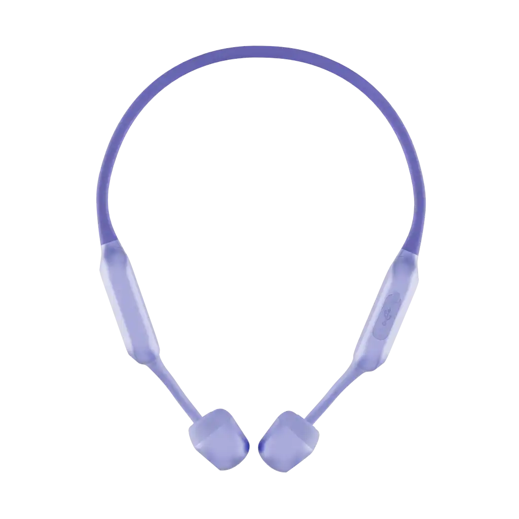 rayconaudious.it.com