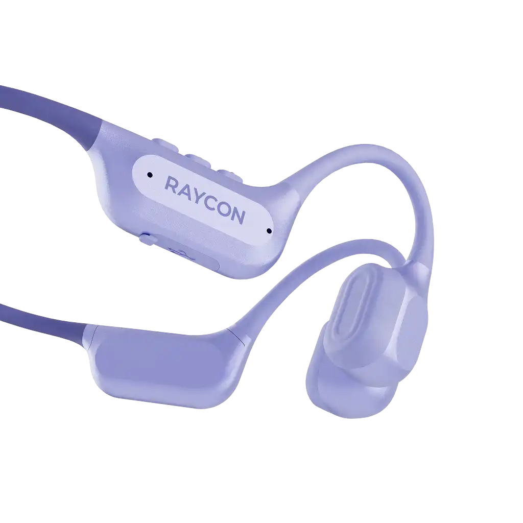 rayconaudious.it.com