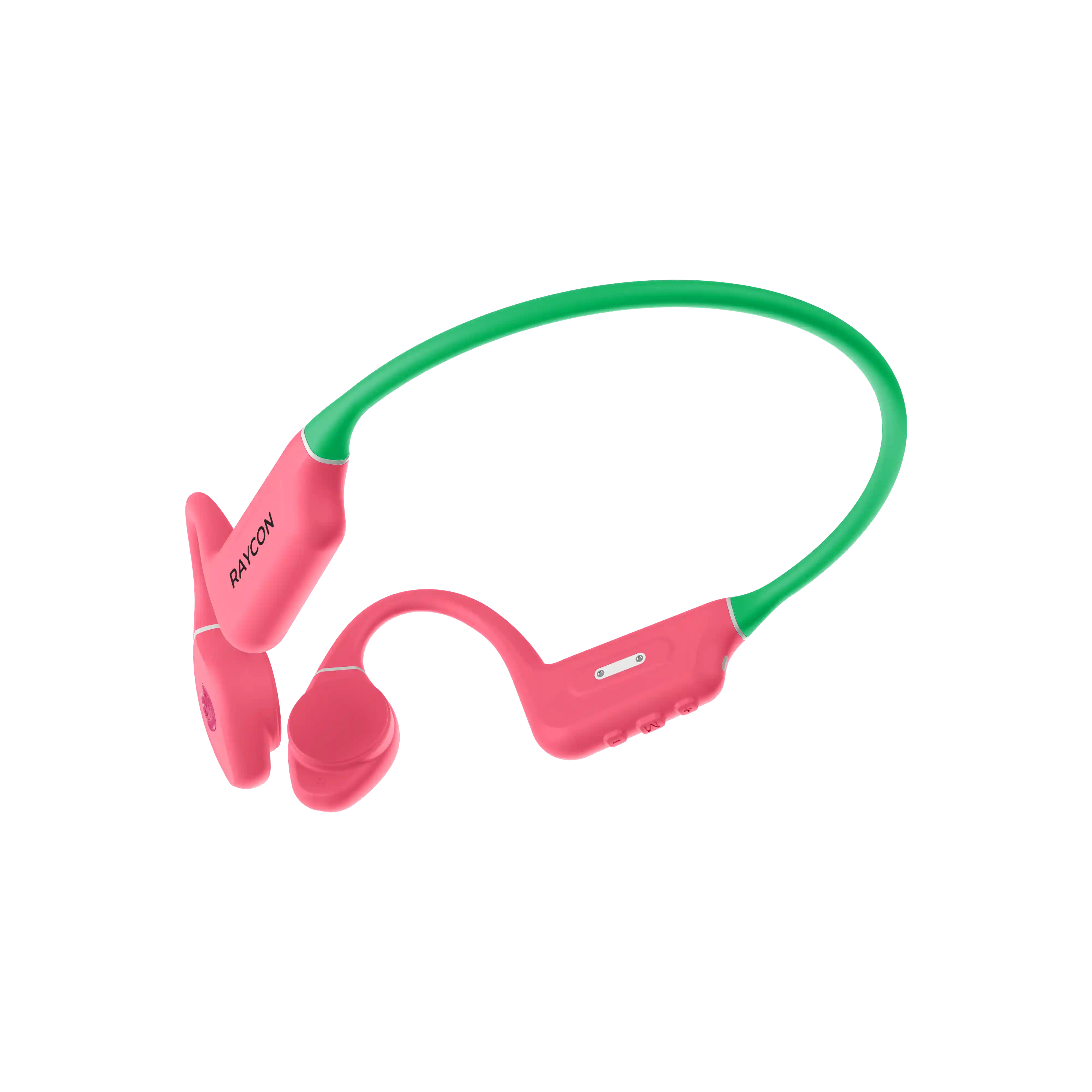 rayconaudious.it.com